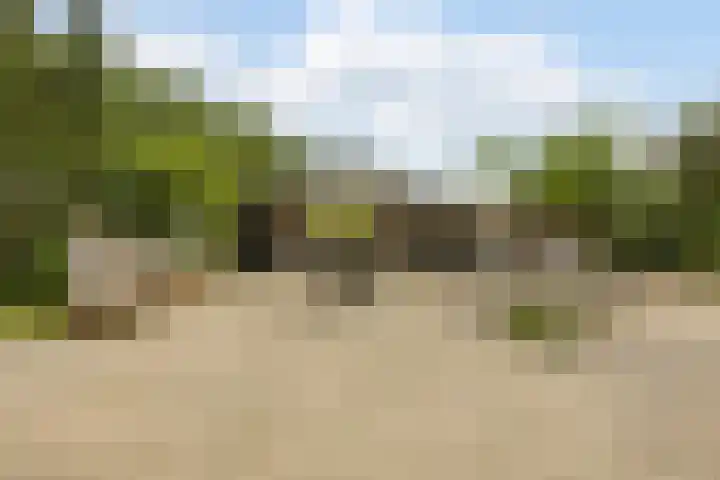 Kievitweg 2 Escharen thumbnail 42