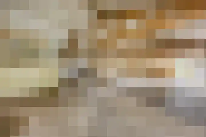 Kievitweg 2 Escharen thumbnail 44