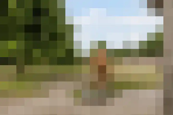 Kievitweg 2 Escharen thumbnail 45