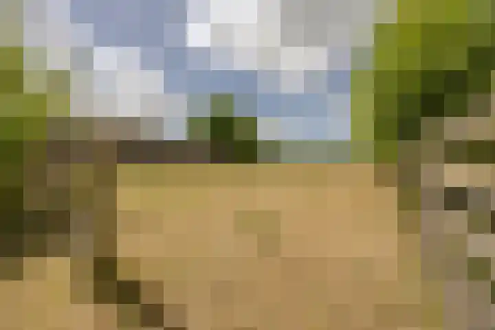 Kievitweg 2 Escharen thumbnail 46