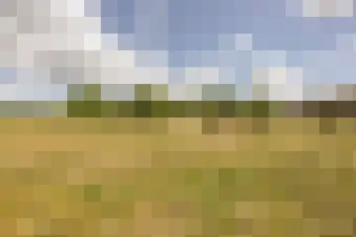 Kievitweg 2 Escharen thumbnail 47