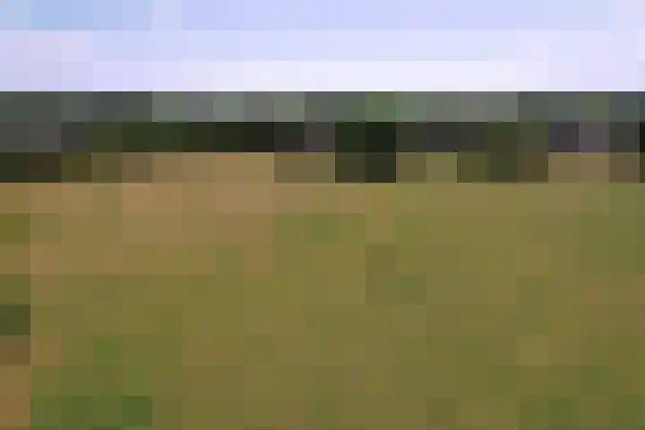 Kievitweg 2 Escharen thumbnail 48