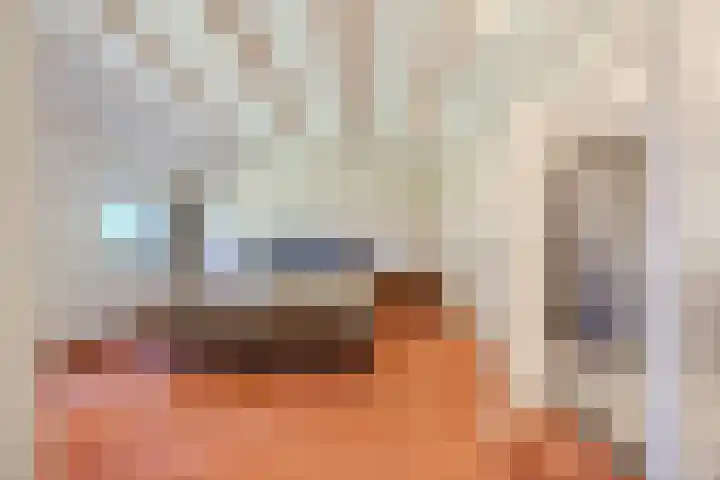 Kievitweg 2 Escharen thumbnail 9