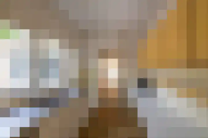 Kievitweg 2 Paterswolde thumbnail 14