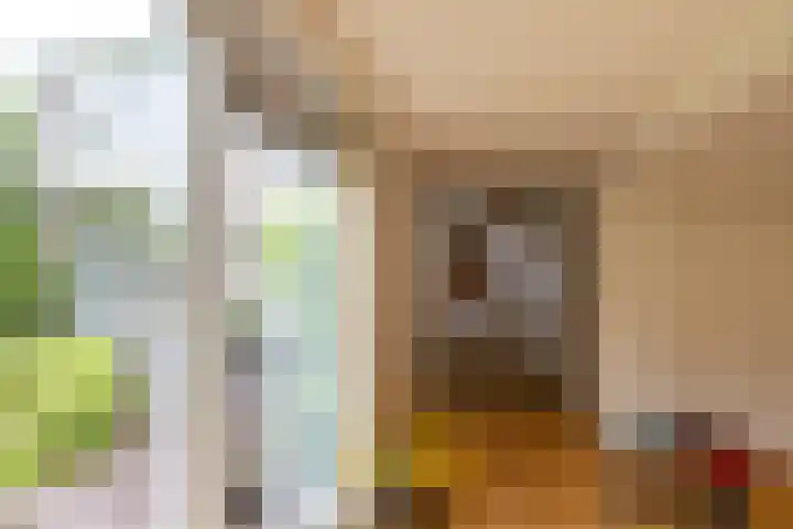 Kievitweg 2 Paterswolde thumbnail 16
