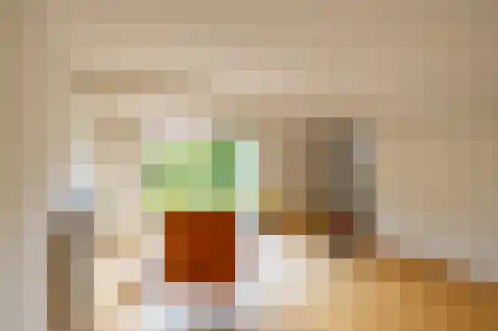 Kievitweg 2 Paterswolde thumbnail 17