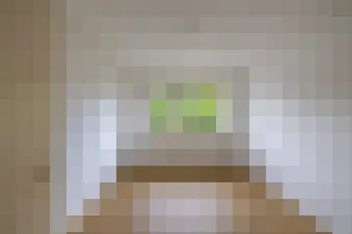 Kievitweg 2 Paterswolde thumbnail 24