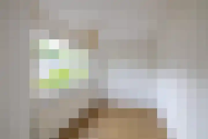 Kievitweg 2 Paterswolde thumbnail 25