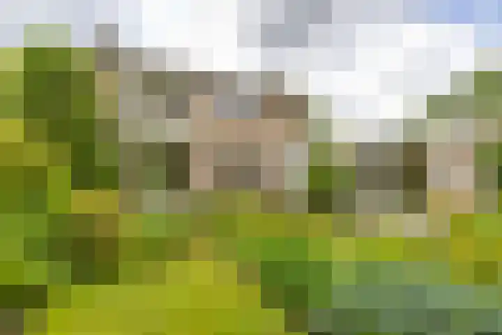 Kievitweg 2 Paterswolde thumbnail 29