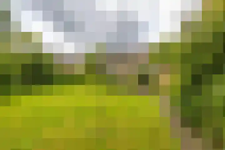 Kievitweg 2 Paterswolde thumbnail 30
