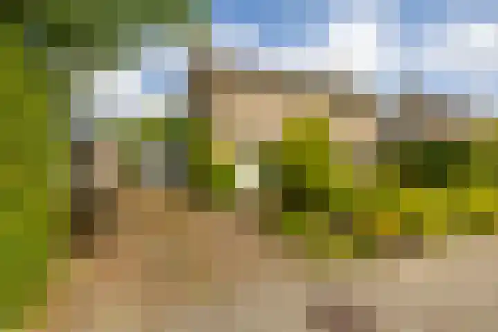 Kievitweg 2 Paterswolde thumbnail 6