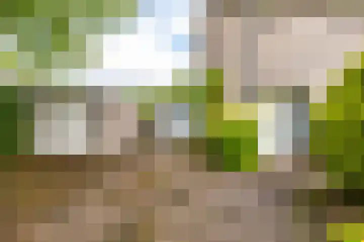 Kievitweg 2 Paterswolde thumbnail 7