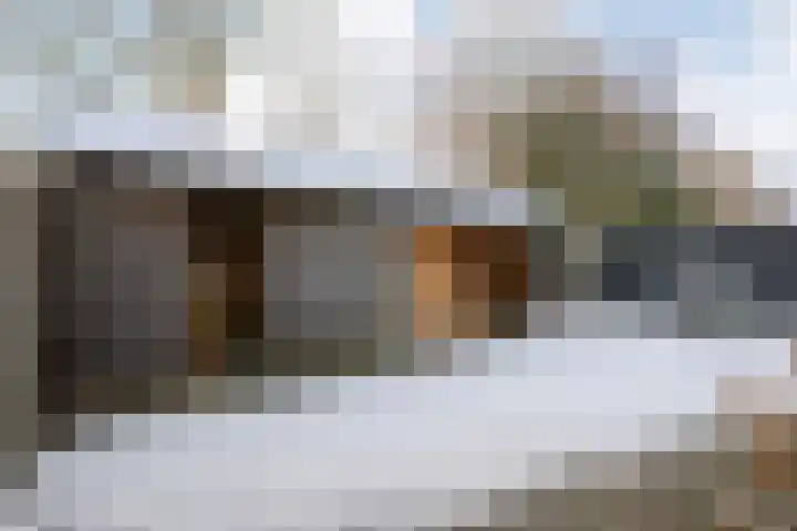 Kievitweg 29 Havelte thumbnail 36