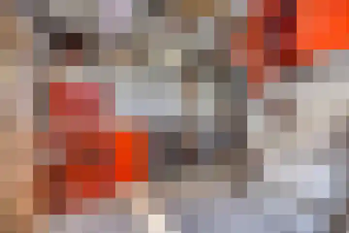 Kievitweg 6 Havelte thumbnail 16