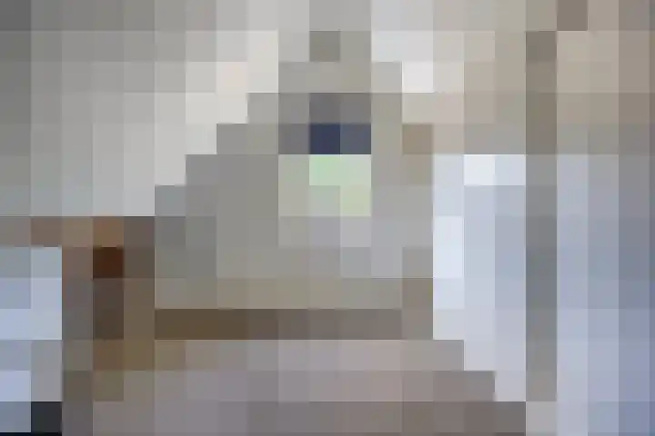 Kievitweg 6 Havelte thumbnail 27