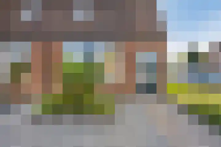 Kievitweg 6 Havelte thumbnail 33