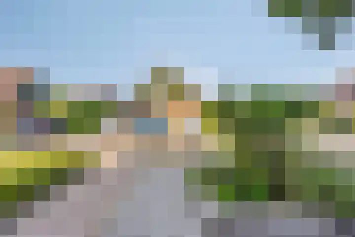 Kievitweg 6 Havelte thumbnail 34