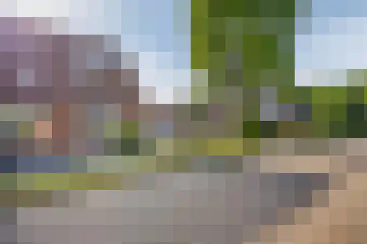 Kievitweg 6 Havelte thumbnail 35