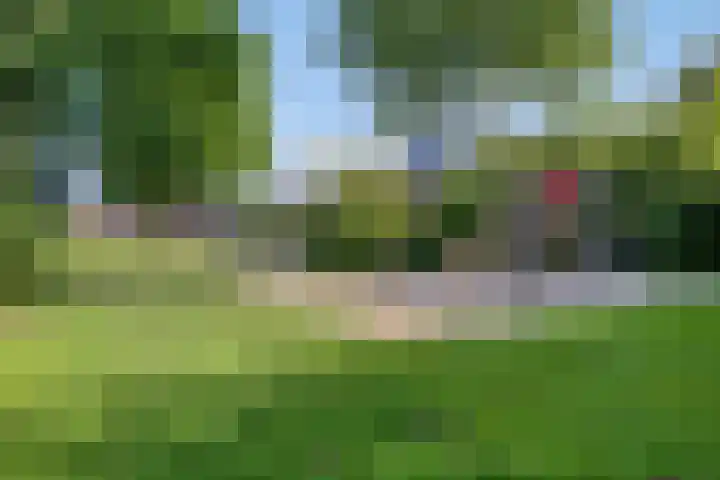 Kievitweg 6 Havelte thumbnail 38