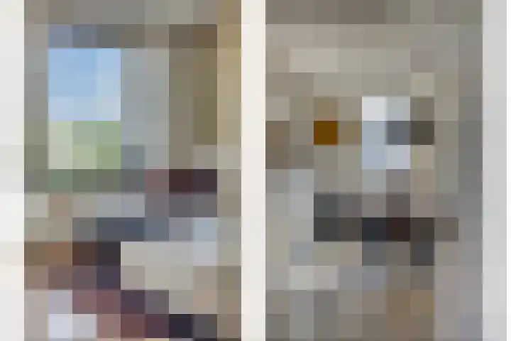 Kievitweg 6 Havelte thumbnail 7