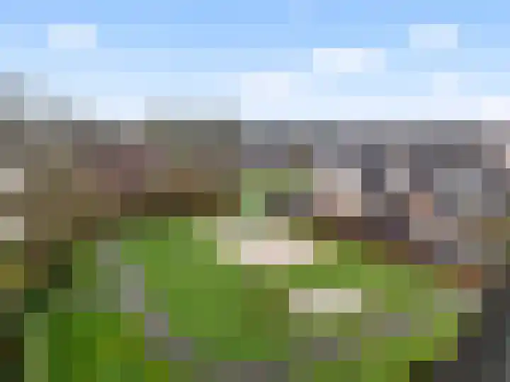 Kievitweg 71 Havelte thumbnail 11