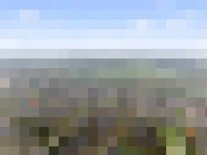 Kievitweg 71 Havelte thumbnail 5