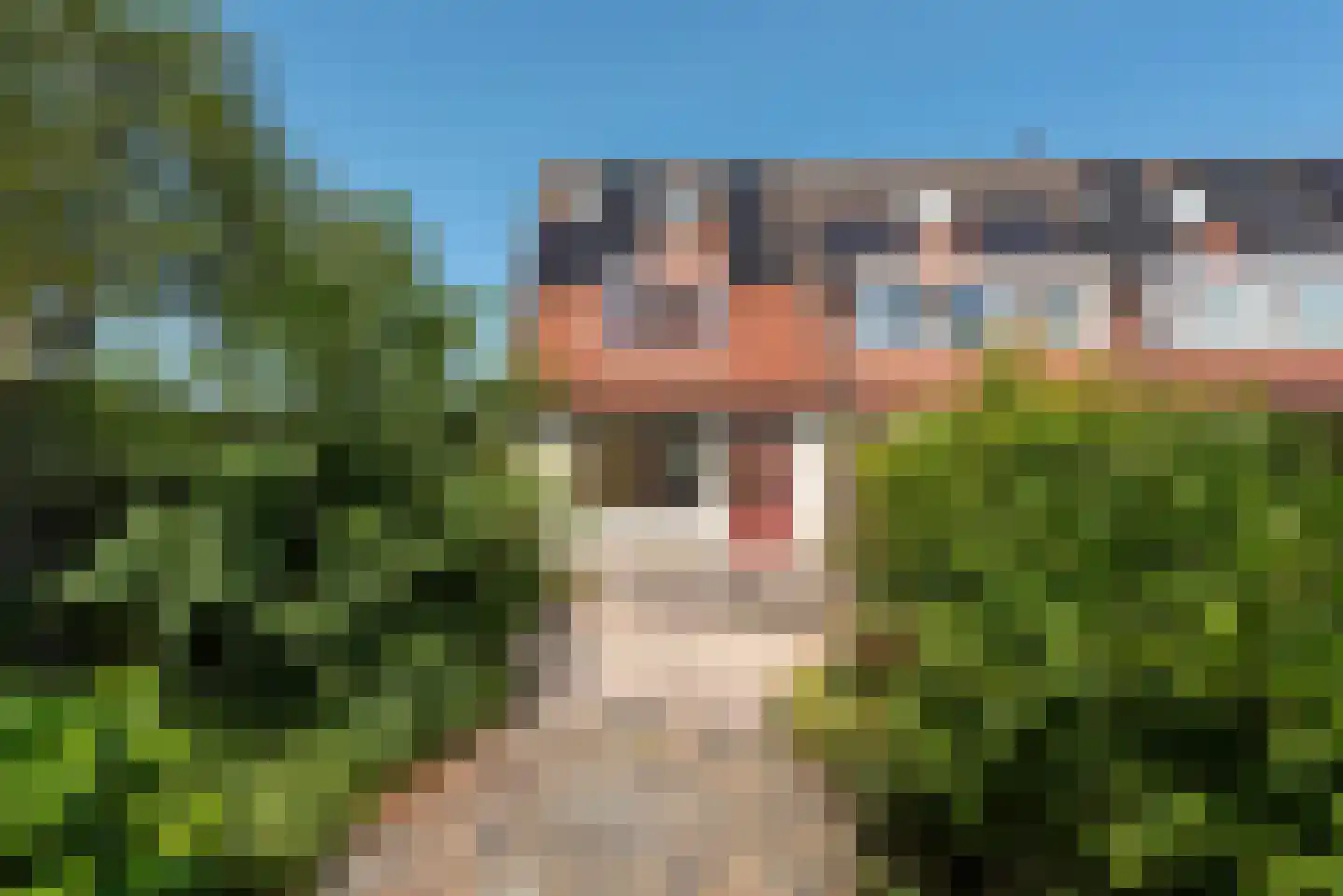 Kievitweide 136 Houten thumbnail 16