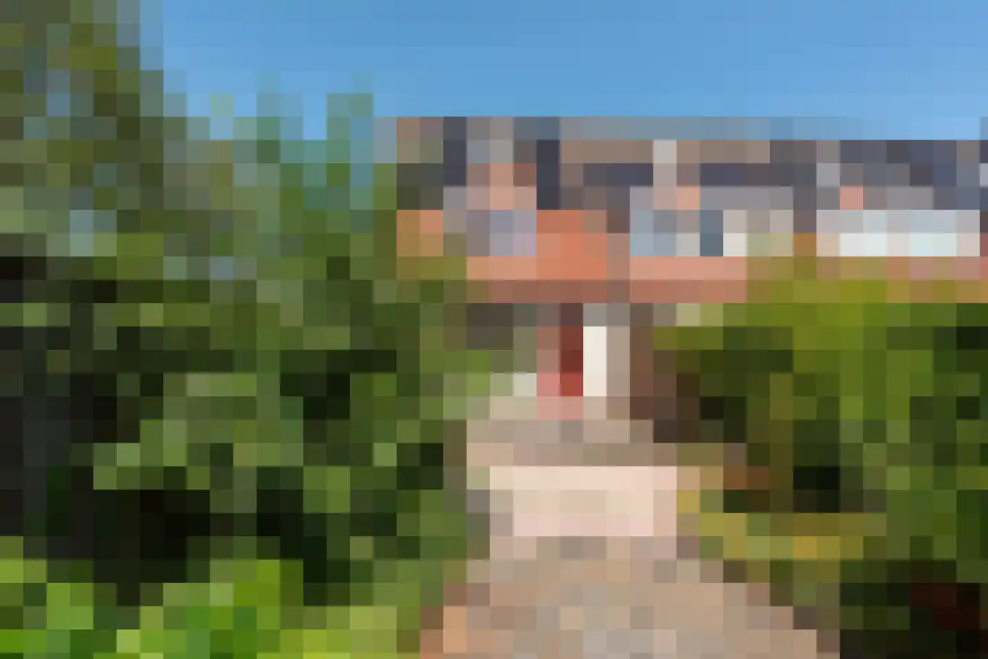 Kievitweide 136 Houten thumbnail 17