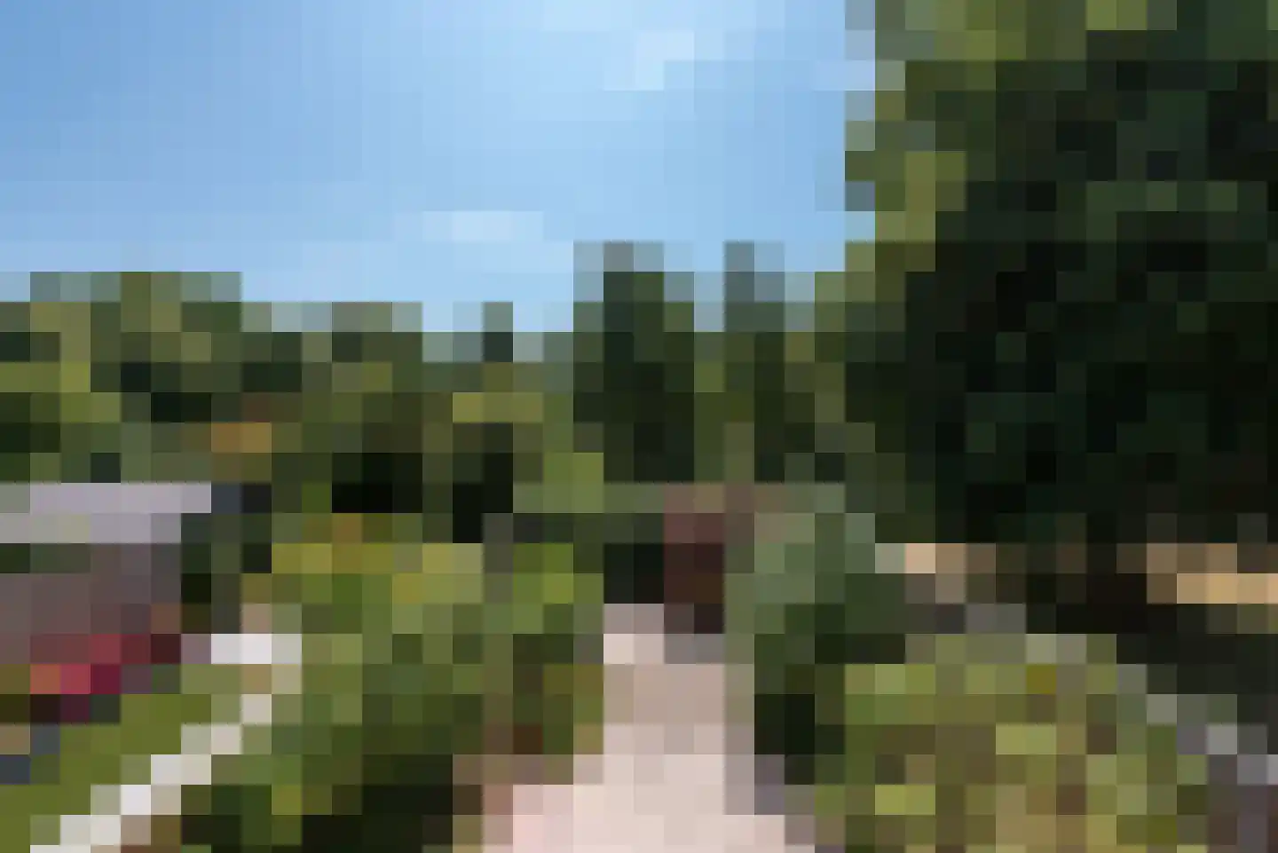 Kievitweide 136 Houten thumbnail 21
