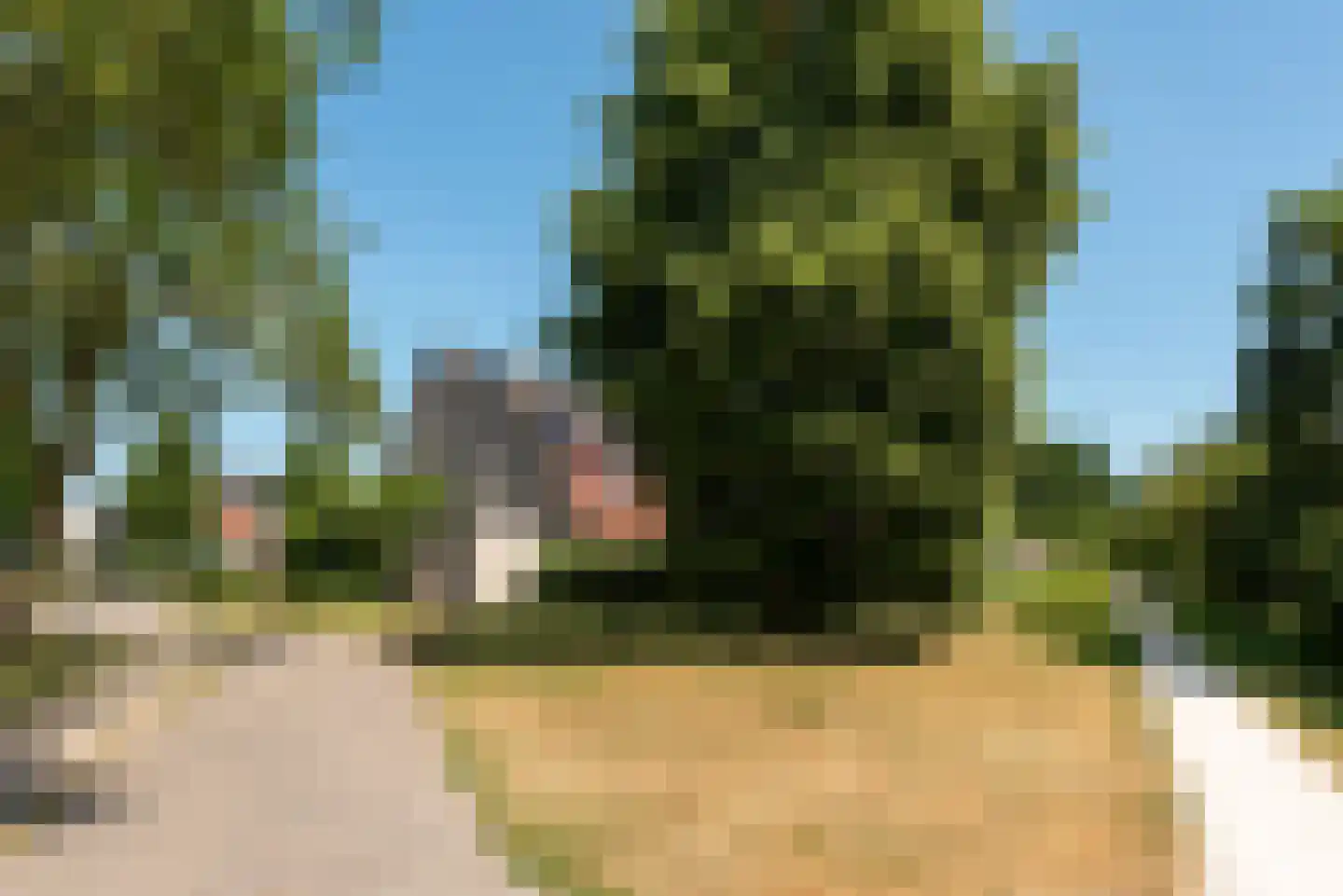 Kievitweide 136 Houten thumbnail 39