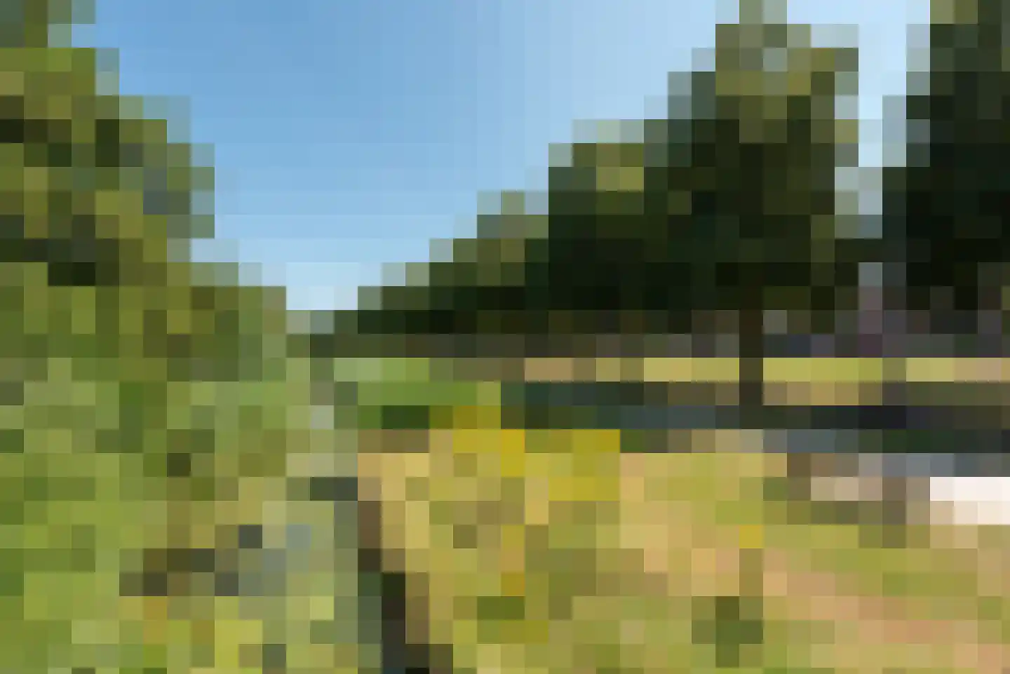 Kievitweide 136 Houten thumbnail 41