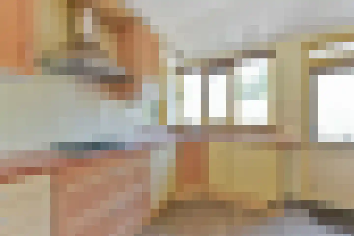 Kievitweide 136 Houten thumbnail 9