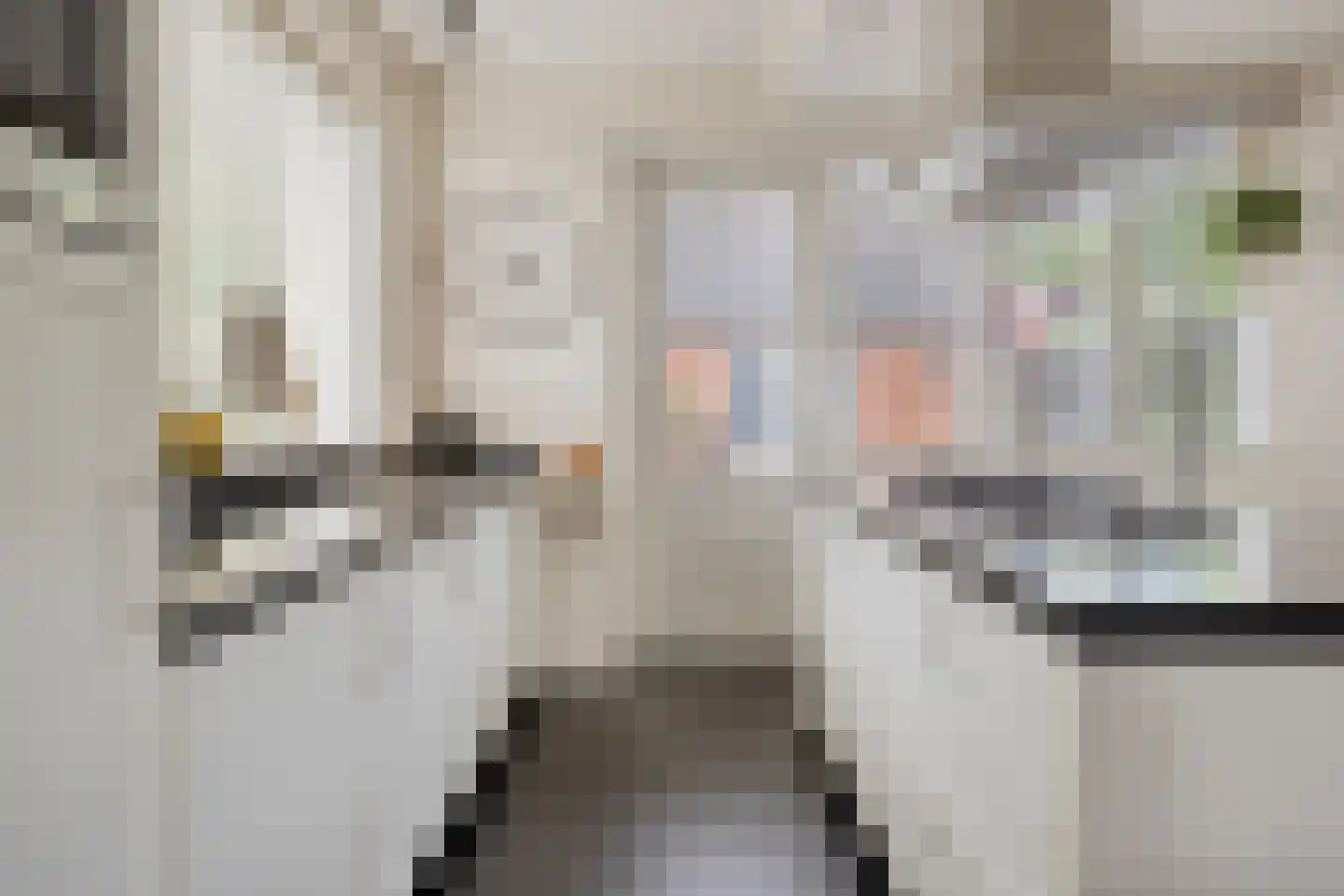 Kievitweide 16 Renswoude thumbnail 11