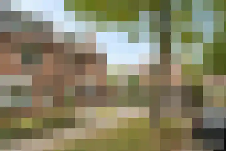 Kievitweide 21 Houten thumbnail 28