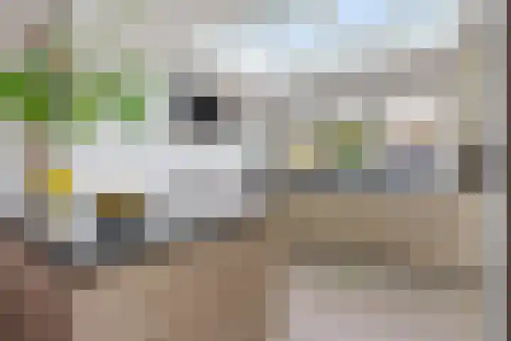 Kievitweide 21 Houten thumbnail 6