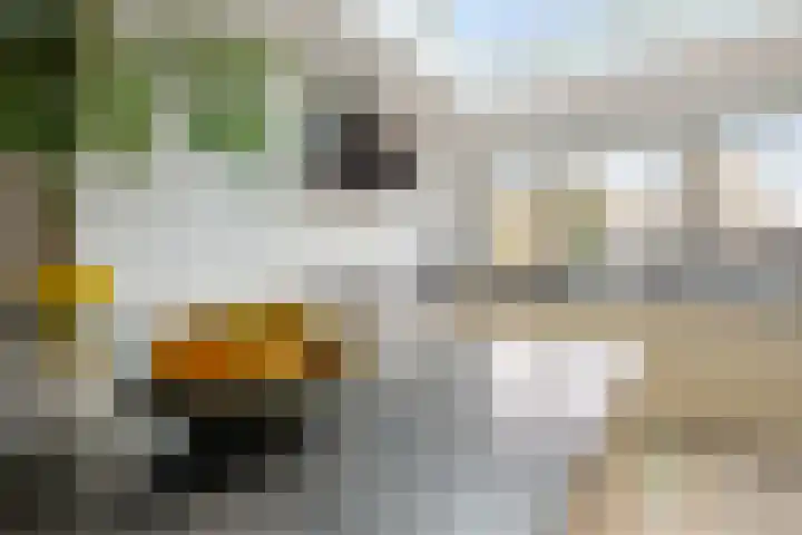 Kievitweide 21 Houten thumbnail 7