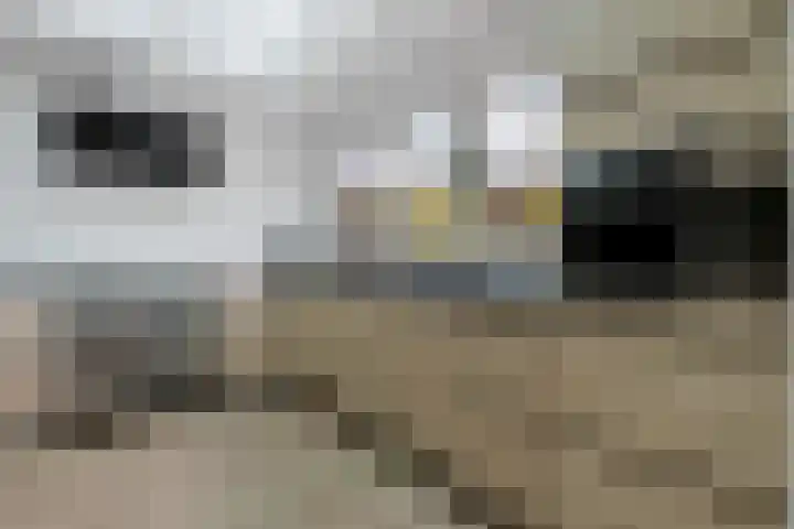 Kievitweide 21 Houten thumbnail 9