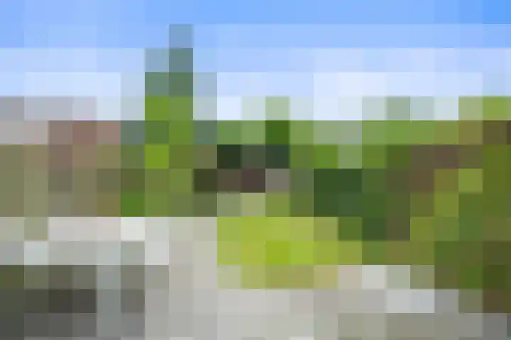 Kievitweide 23 Houten thumbnail 19