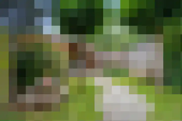 Kievitweide 23 Houten thumbnail 20