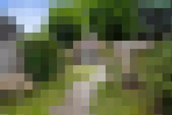 Kievitweide 23 Houten thumbnail 22