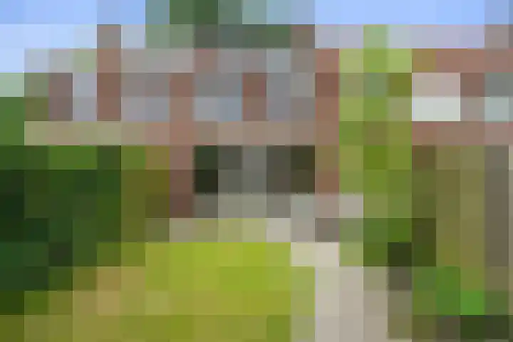Kievitweide 23 Houten thumbnail 23
