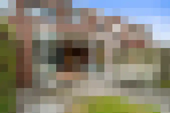 Kievitweide 23 Houten thumbnail 24