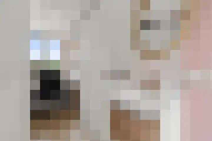 Kievitweide 23 Houten thumbnail 43
