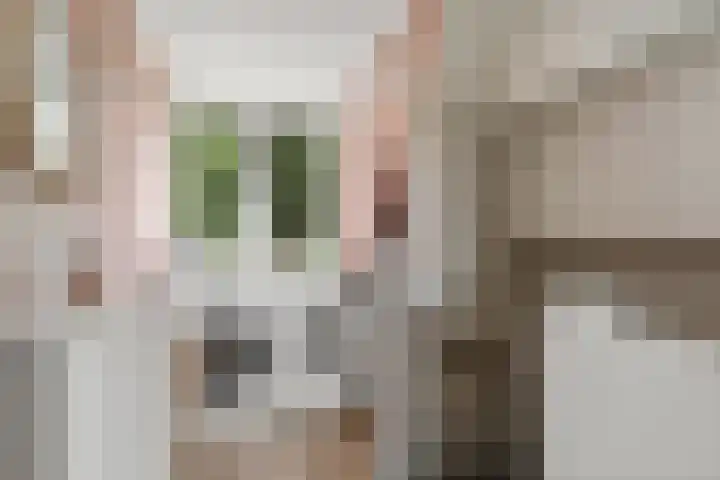 Kievitweide 23 Houten thumbnail 44