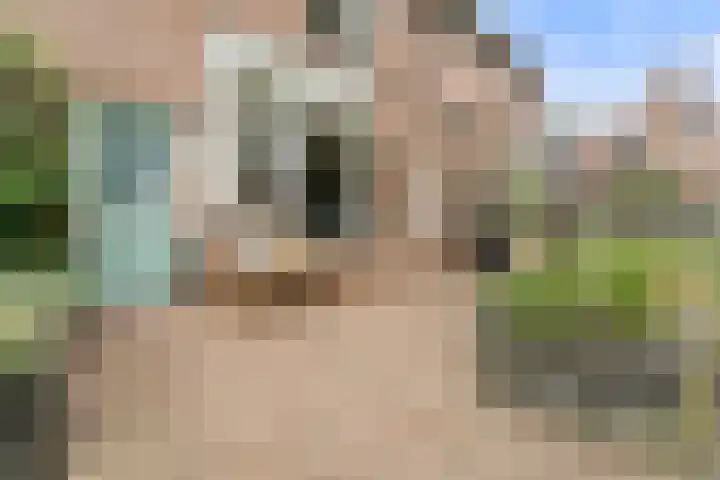Kievitweide 23 Houten thumbnail 48