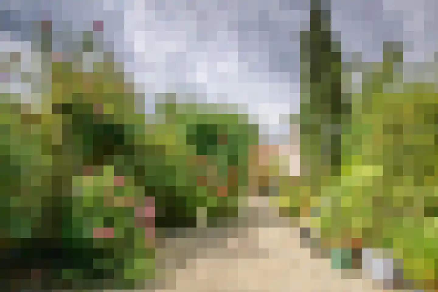 Kievitweide 35 Houten thumbnail 4