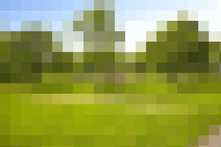 Kiezel 18 Malden thumbnail 25