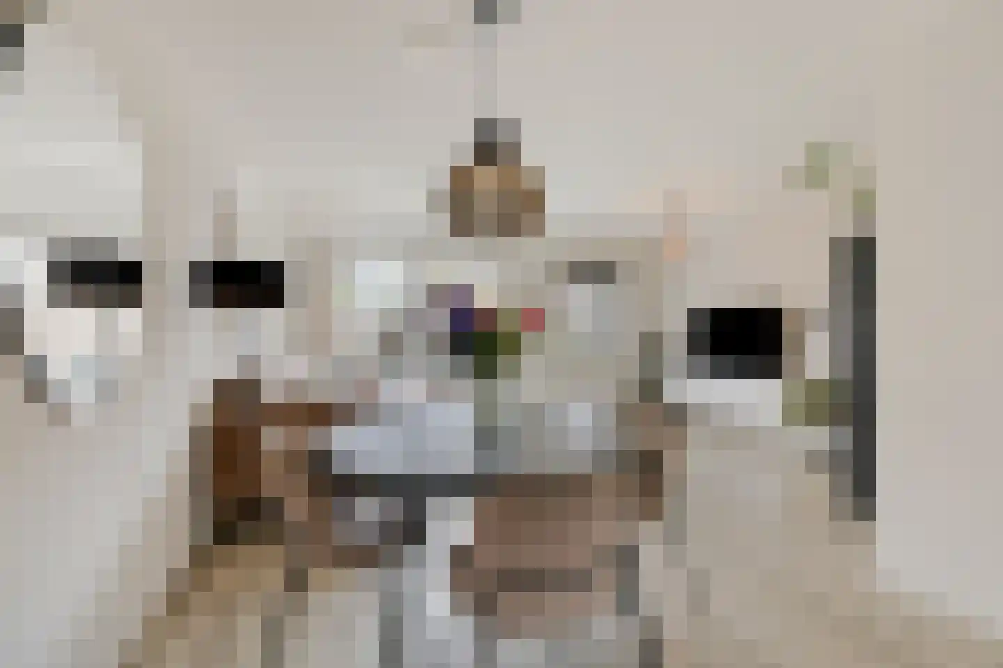 Kiezel 39 Malden thumbnail 4