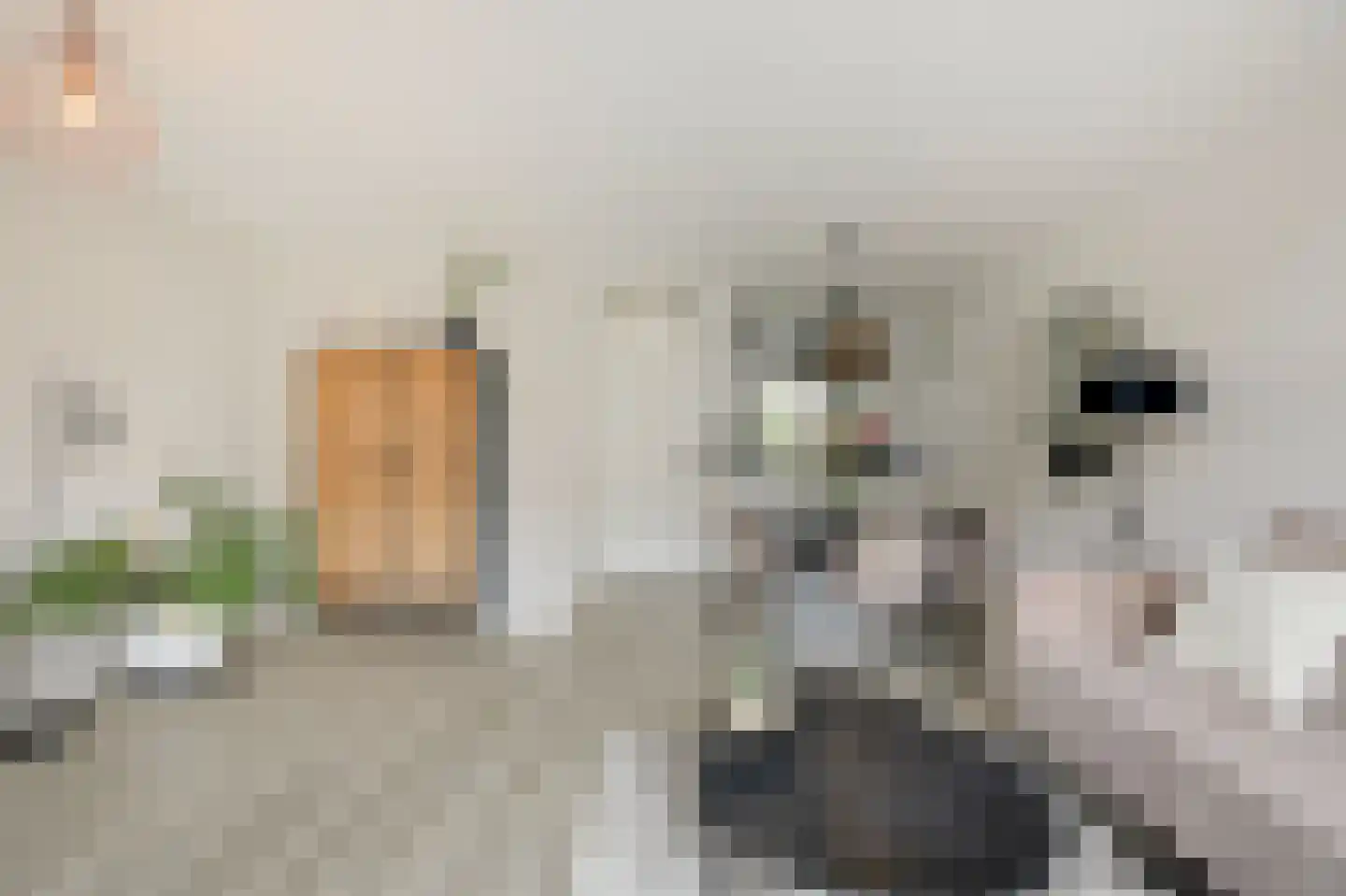 Kiezel 39 Malden thumbnail 8