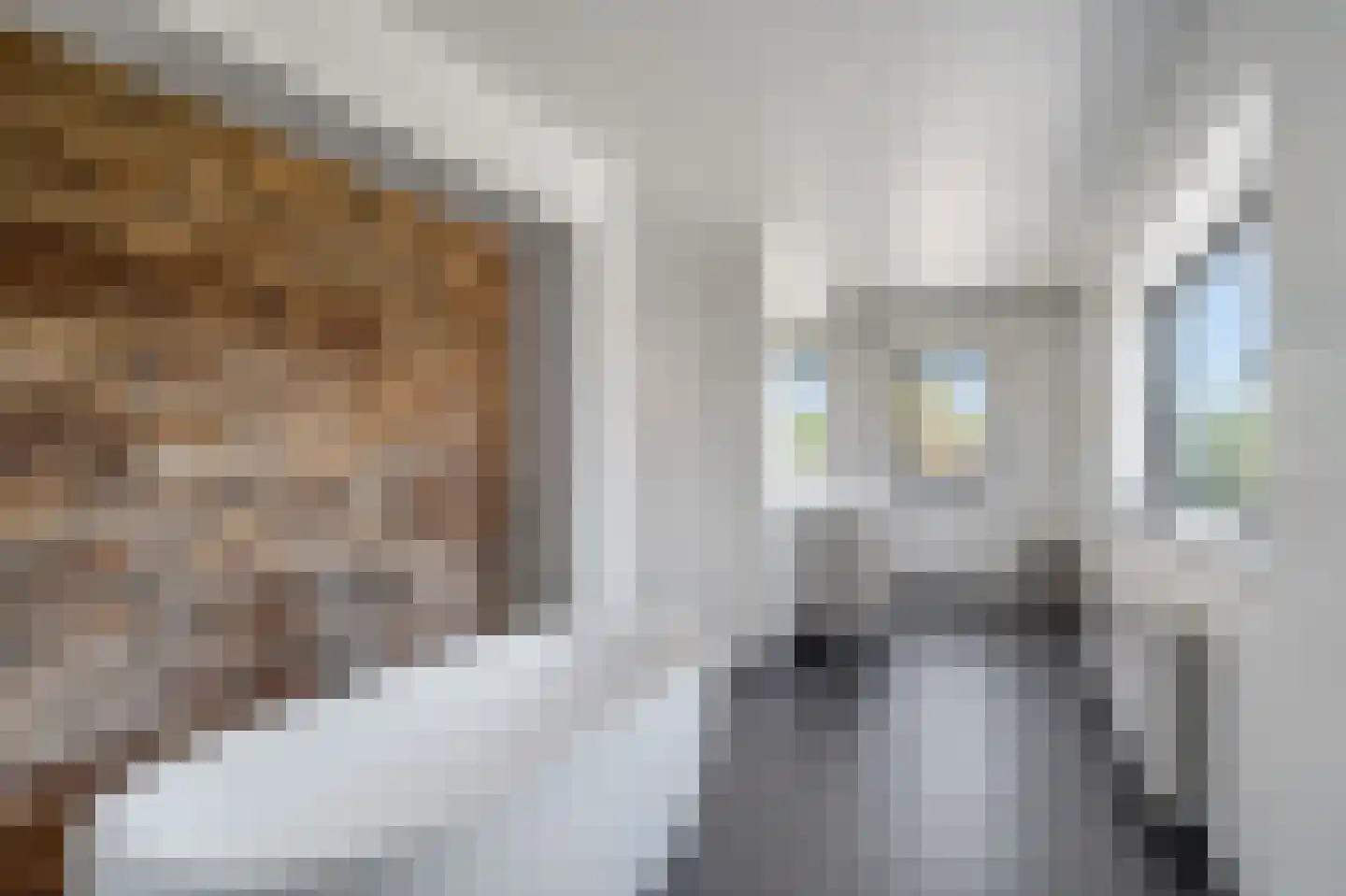 Kiezelkuilweg Mesch 12 Eijsden thumbnail 32